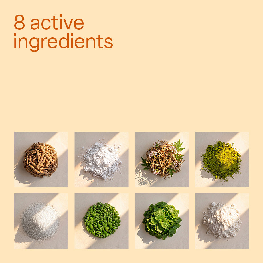 The 8 active ingredients of One Sleep shown as raw botanicals and minerals